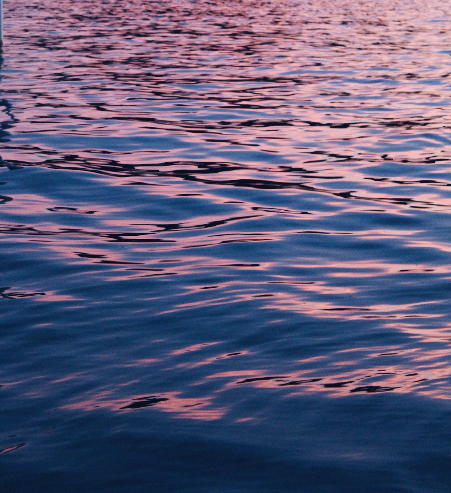 pink light reflecting off water